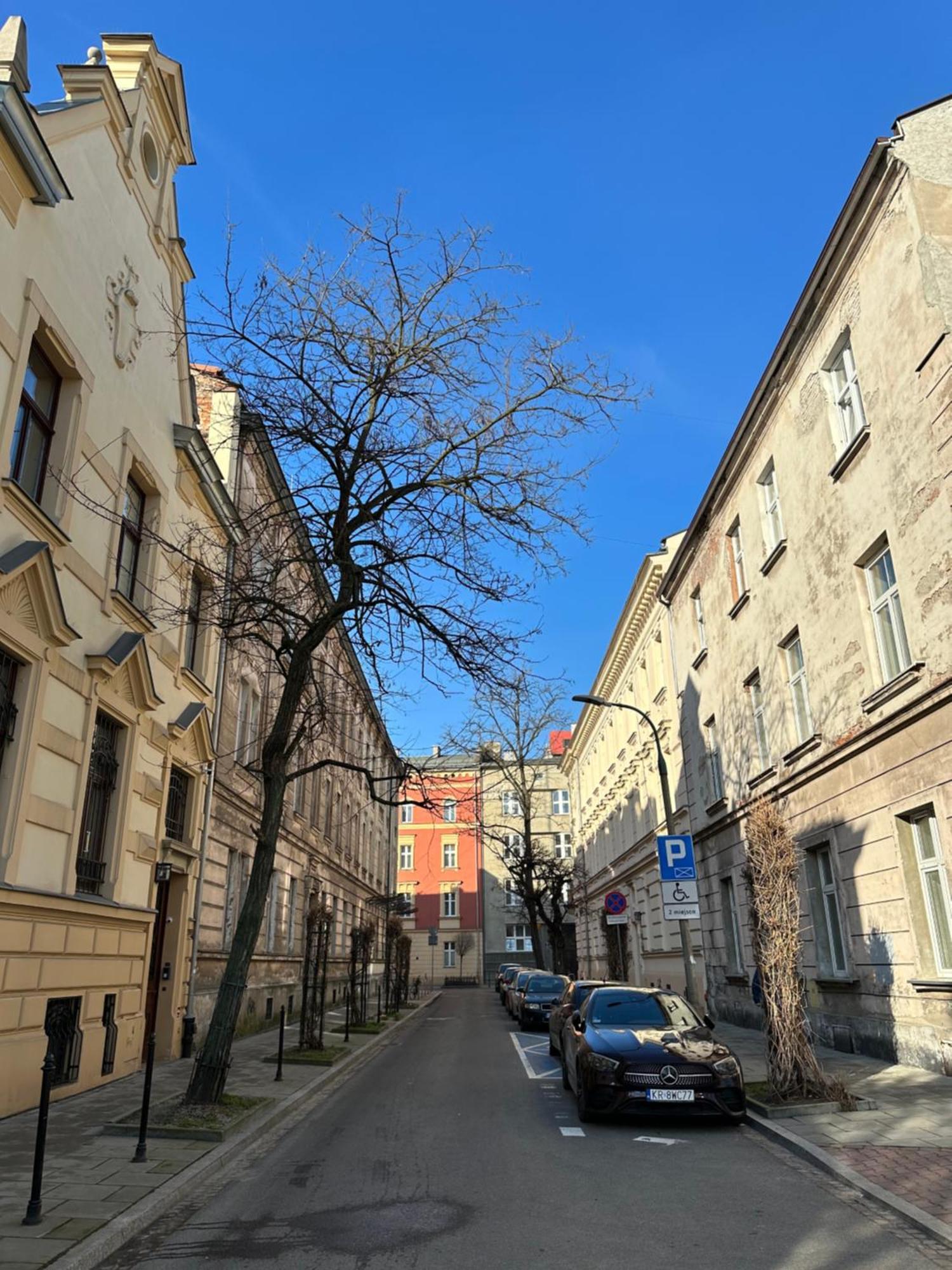 Perfect Place To Stay In Krakow City Center 18M2 W5 Ngoại thất bức ảnh